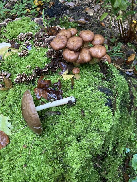 Foto: Familienmitglieder