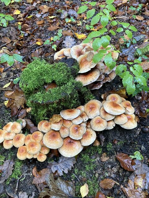 Foto: Familienmitglieder