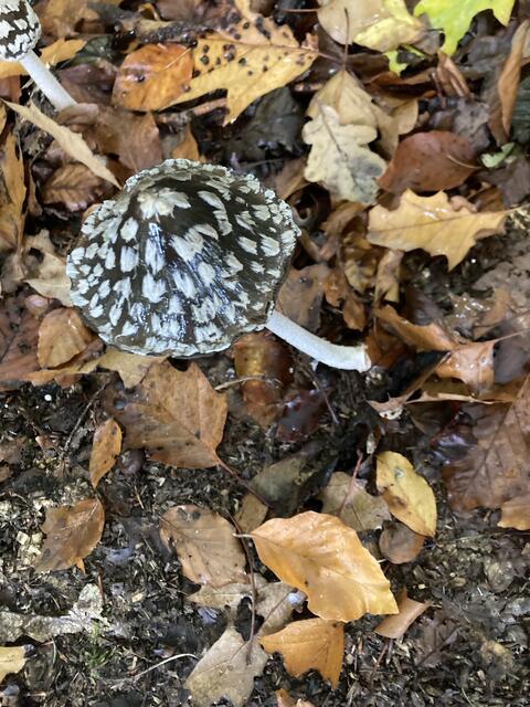 Foto: Familienmitglieder