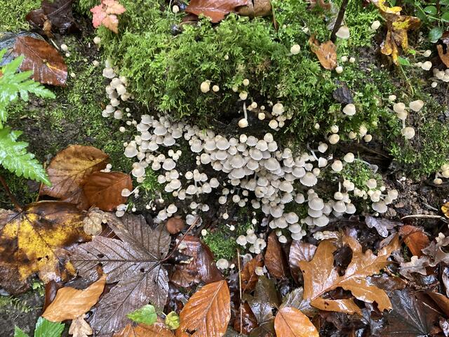 Foto: Familienmitglieder