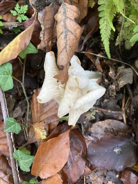 Foto: Familienmitglieder