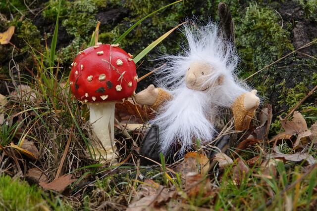 Fliegenpilz mit Wichtel ;-) | Foto: Uschi Dugulin