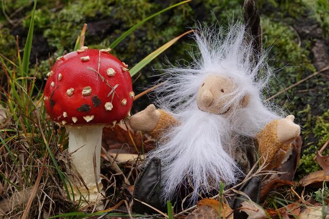 Fliegenpilz mit Wichtel ;-) | Foto: Uschi Dugulin