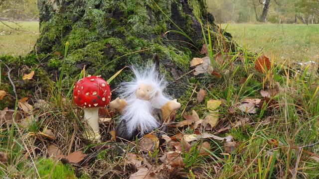 Fliegenpilz mit Wichtel ;-) | Foto: Uschi Dugulin