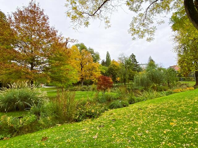 Foto: Heide Böllinger aus Bad Friedrichshall