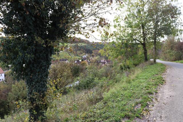 Blick auf Dorf Laibach | Foto: Marga Specht