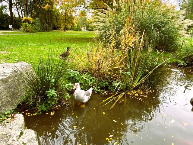 Foto: Heide Böllinger aus Bad Friedrichshall