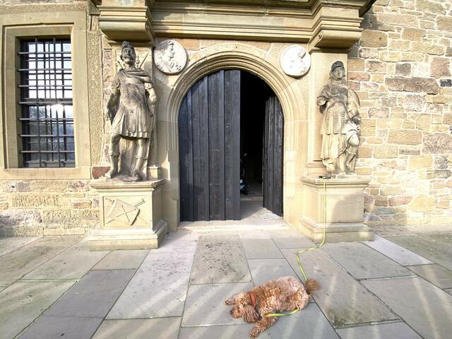 Foto: Heide Böllinger aus Bad Friedrichshall