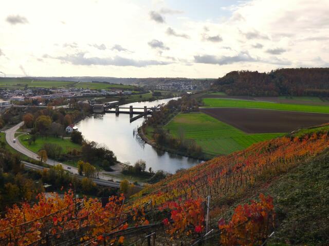 Blick auf den Neckar vom Michaelsberg in Gundelsheim | Foto: Sigrid Schlottke