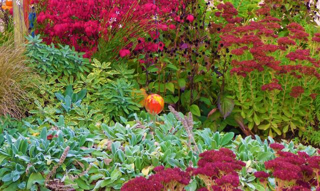 Herbst in unserem Garten | Foto: Sigrid Schlottke
