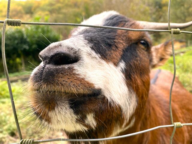 Foto: Heide Böllinger aus Bad Friedrichshall