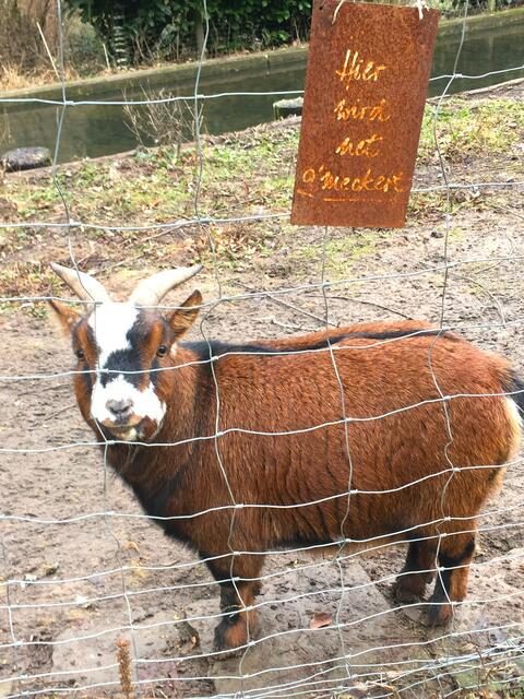 Foto: Heide Böllinger aus Bad Friedrichshall