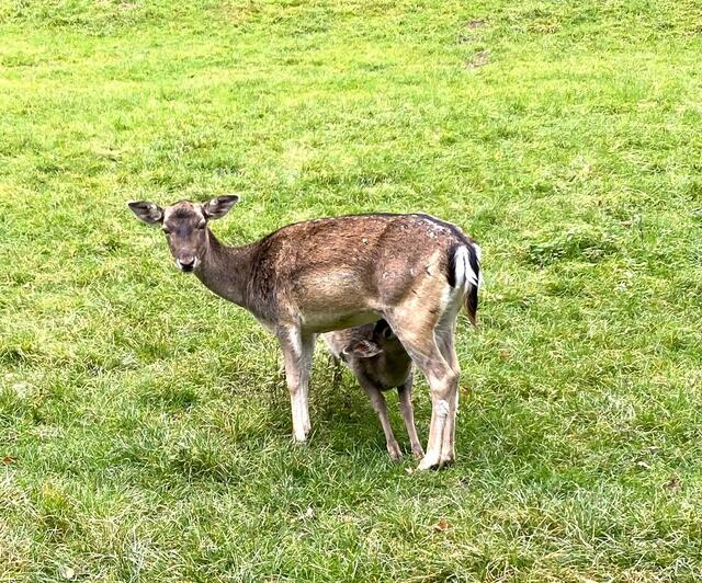 Foto: Heide Böllinger aus Bad Friedrichshall