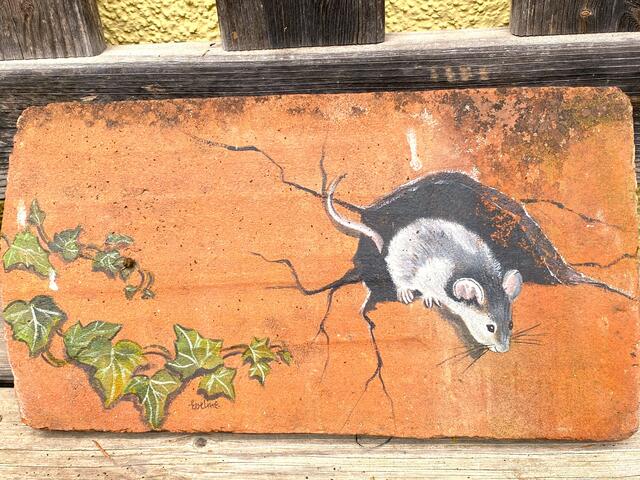 Foto: Heide Böllinger aus Bad Friedrichshall