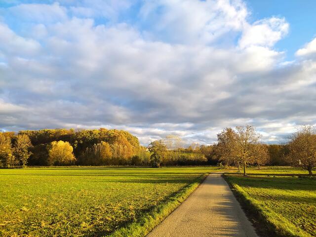 Auf meinem Weg zum Salinenpark - heute war's einfach herrlich.  | Foto: Sigrid Schlottke
