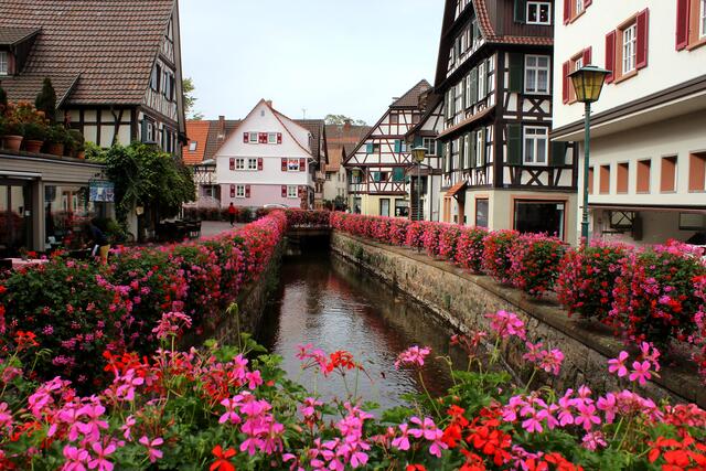 Die sogenannte Bachanlage am Mühlkanal  | Foto: Klaus Bauer