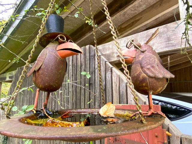 Foto: Heide Böllinger aus Bad Friedrichshall