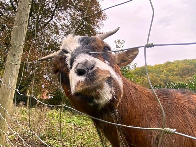 Foto: Heide Böllinger aus Bad Friedrichshall
