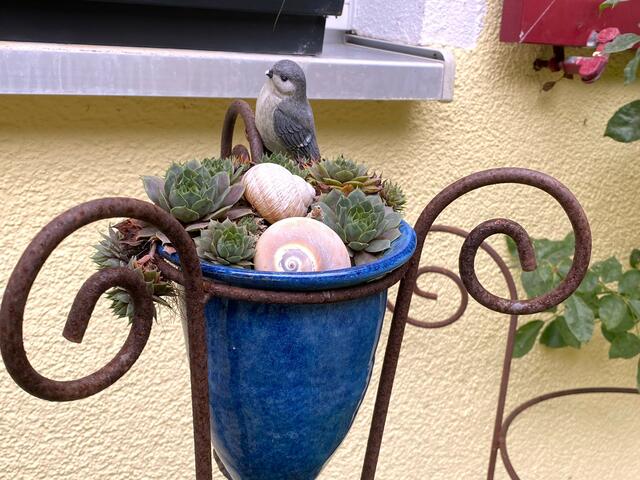 Foto: Heide Böllinger aus Bad Friedrichshall