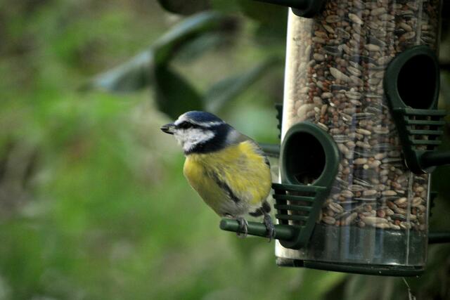 Und immer schön wachsam bleiben. | Foto: Daniela Somers