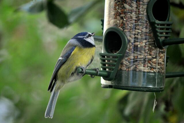 Sehr schön. Da ist noch genug drin für mich. | Foto: Daniela Somers