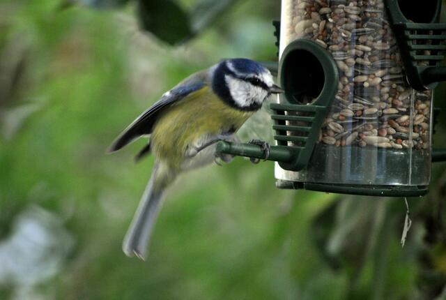 So, was nehme ich mir jetzt? | Foto: Daniela Somers