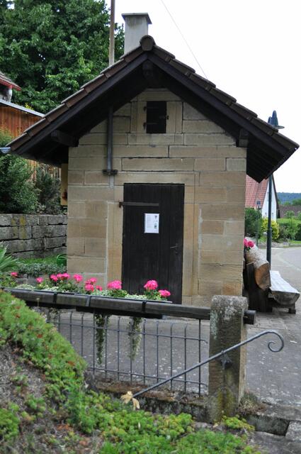 Buchhorn | Foto: Daniela Somers