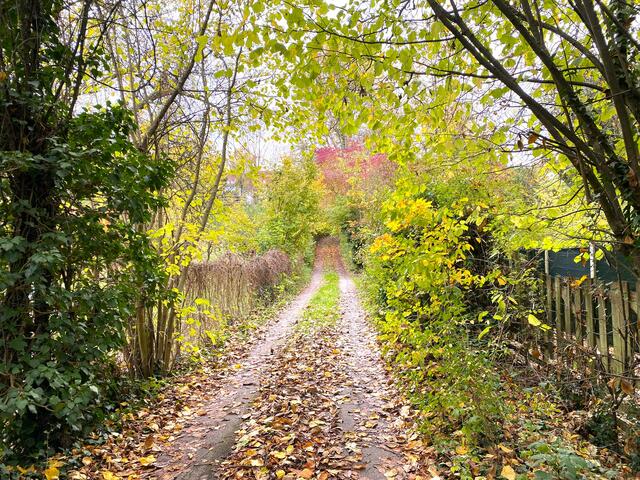 Foto: Heide Böllinger aus Bad Friedrichshall
