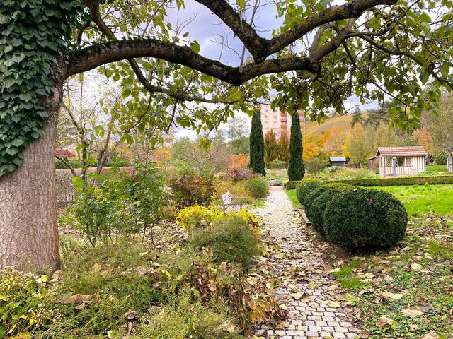 Foto: Heide Böllinger aus Bad Friedrichshall