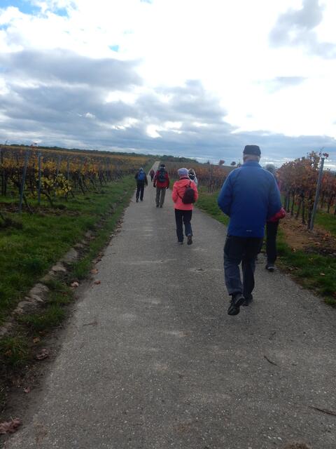zwischen den Weinbergen | Foto: E. Rosendorf