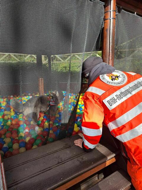 Foto: BRH Rettungshundestaffel Unterland e.V