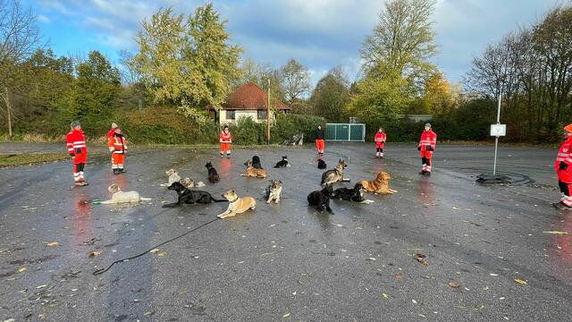 Foto: BRH Rettungshundestaffel Unterland e.V