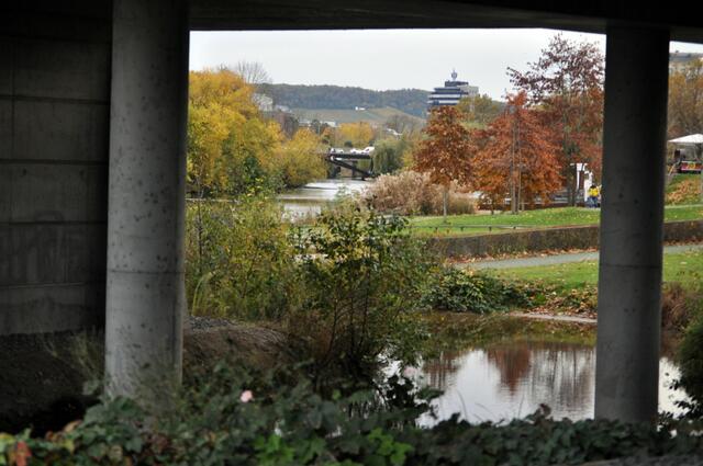 Hier am Neckar entlang darf die Natur noch bleiben. | Foto: Daniela Somers