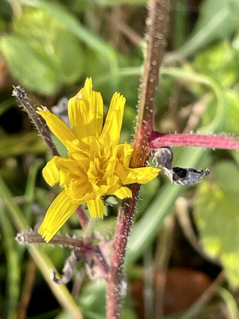 Foto: Urheberrecht bei Edith Kern
