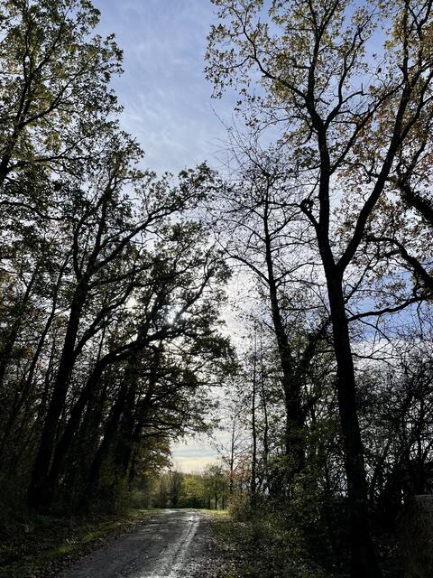 Foto: Urheberrecht bei Edith Kern