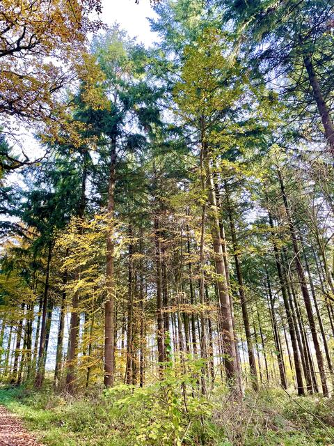 Foto: Urheberrecht bei Edith Kern