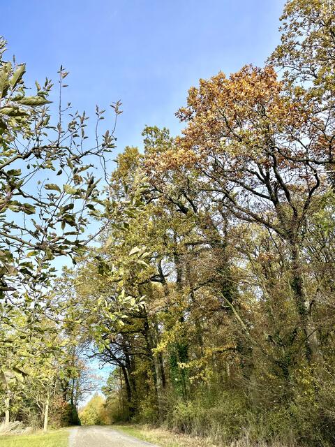 Foto: Urheberrecht bei Edith Kern