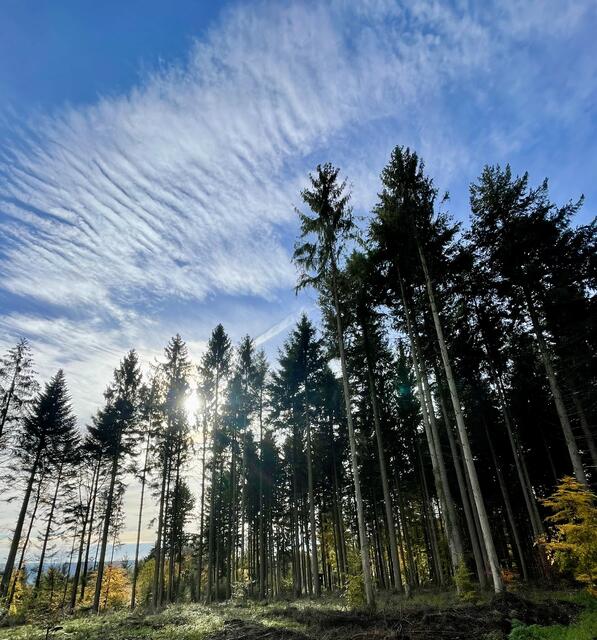 Foto: Urheberrecht bei Edith Kern