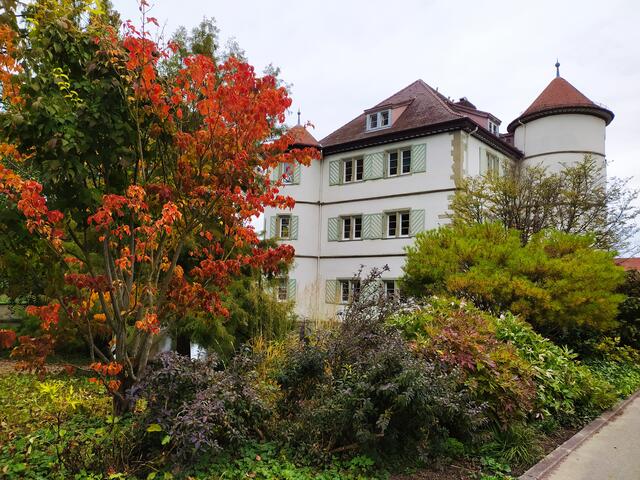 Herbstlich rot leuchtet es im Rappenauer Schlosspark | Foto: Sigrid Schlottke