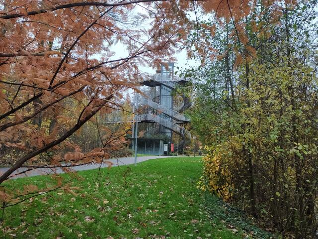 Der Lichtturm lugt zwischen den Bäumen hervor | Foto: Sigrid Schlottke
