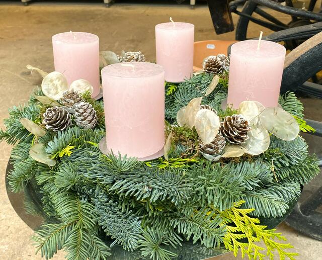 Foto: Heide Böllinger aus Bad Friedrichshall