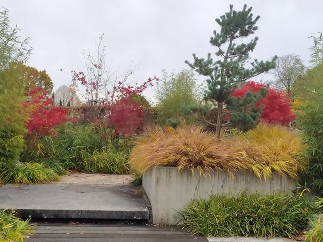 Japangarten | Foto: Sigrid Schlottke