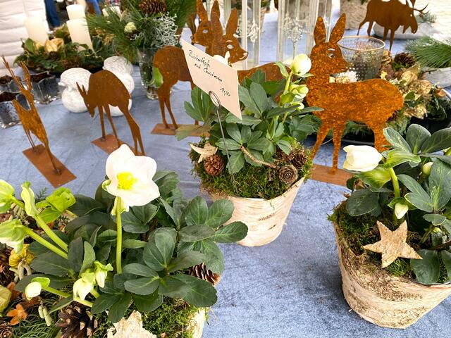 Foto: Heide Böllinger aus Bad Friedrichshall