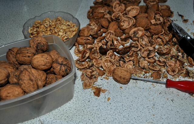 Entweder mit einem Nussknacker oder einem Schraubenzieher öffnen. Beim Schraubenzieher: Die Nuss hat an der breiteren Unterseite eine kleine Öffnung und man kann den Schraubenzieher da einstechen und leicht drehen. Mit dieser Methode bleiben auch die Nusshälften für Bastelarbeiten mit den Schalen noch ganz. | Foto: Daniela Somers