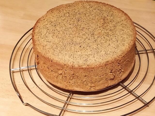 Nun den Biskuit in 3 Böden schneiden.   | Foto: sigischlottke