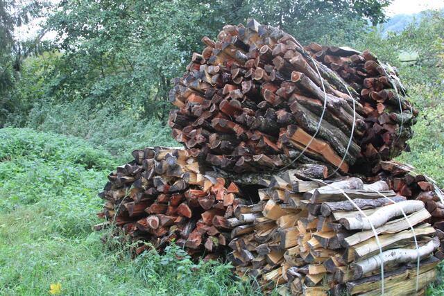 🌳🌲🍁🍂Holz soweit das Auge reicht🍂🍁🌲🌳 | Foto: Ralf Röser