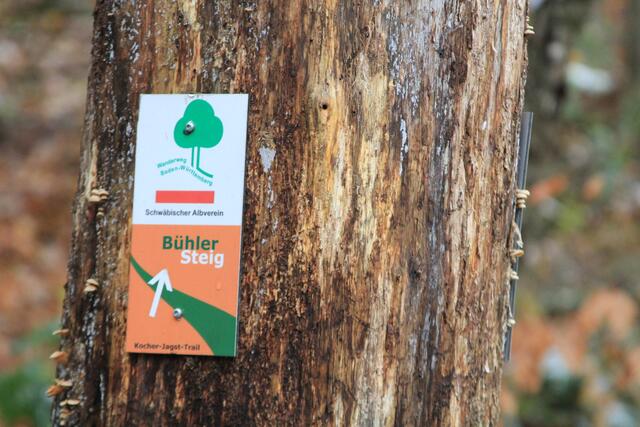 🌳🌲🍁🍂Holz soweit das Auge reicht🍂🍁🌲🌳 | Foto: Ralf Röser