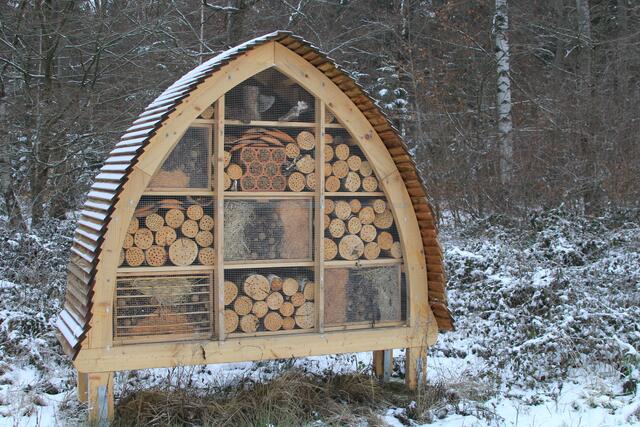 🌳🌲🍁🍂Holz soweit das Auge reicht🍂🍁🌲🌳 | Foto: Ralf Röser
