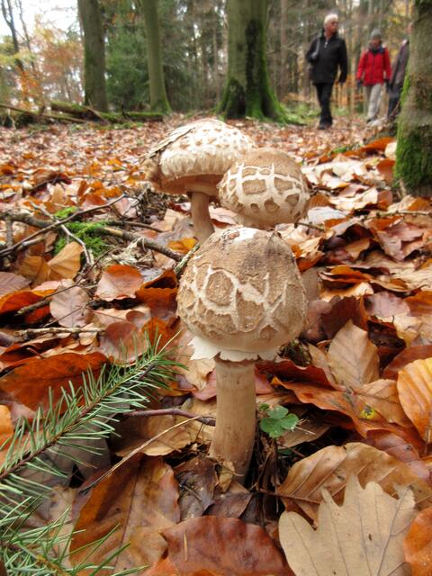 Foto: WandernGabyErich