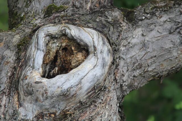 🌳🌲🍁🍂Holz soweit das Auge reicht🍂🍁🌲🌳 | Foto: Ralf Röser